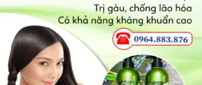 Tác dụng của tinh dầu vỏ bưởi với mái tóc, cách nấu vỏ bưởi để gội đầu